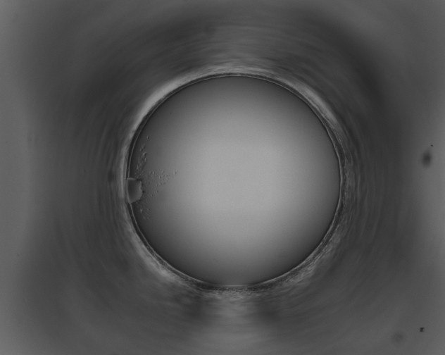 X0000095671246200801081032