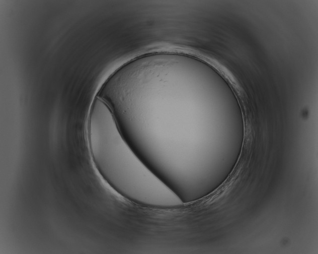 X0000095671247200801081032
