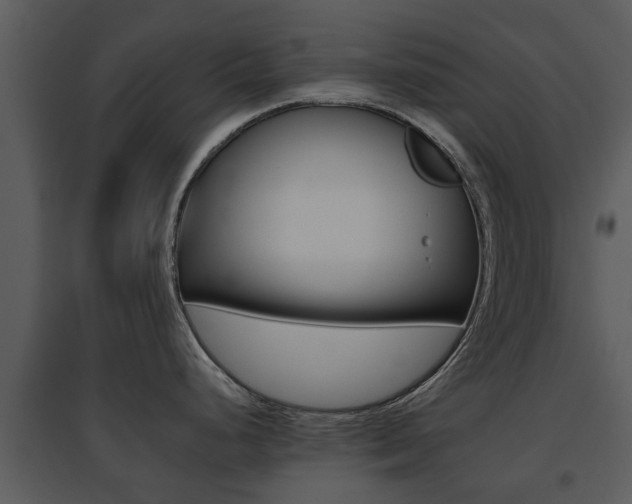 X0000095671248200801081032