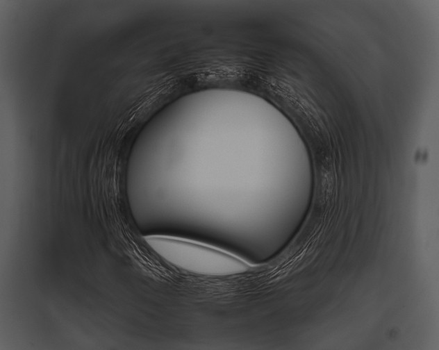 X0000095671250200801081031