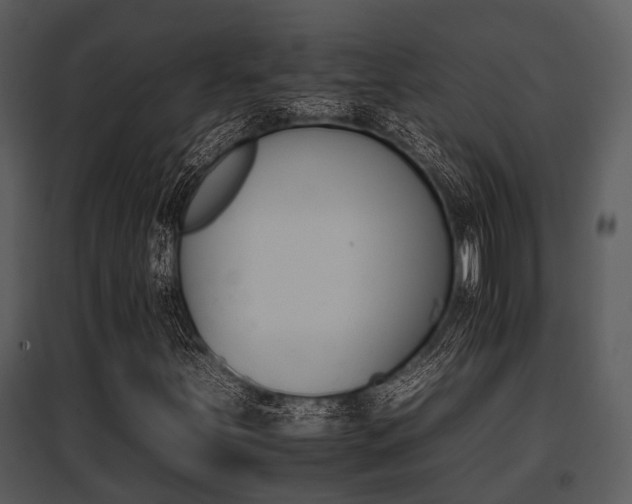 X0000095671251200801081031