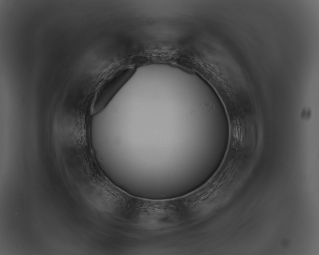 X0000095671252200801081031