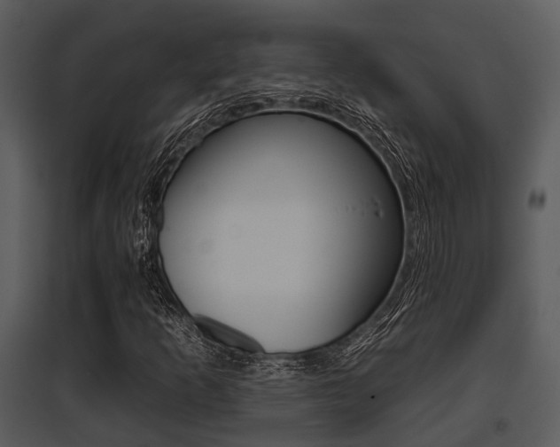 X0000095671253200801081031