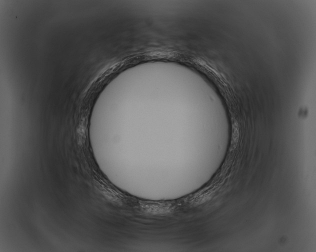 X0000095671254200801081031
