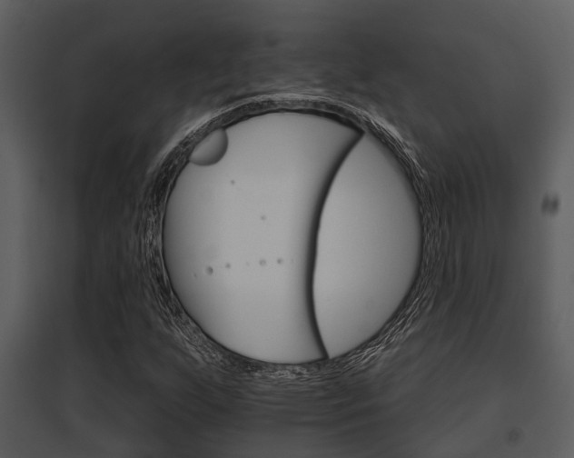 X0000095671255200801081031