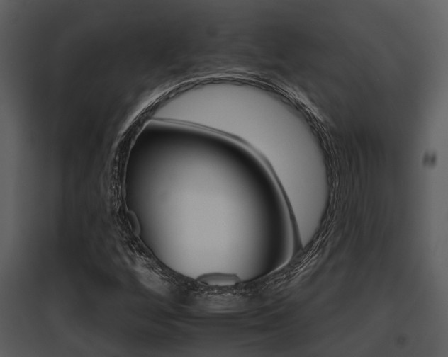 X0000095671256200801081031