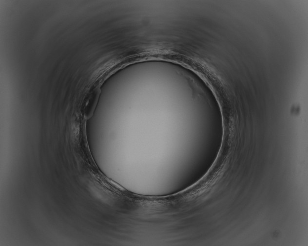 X0000095671257200801081031