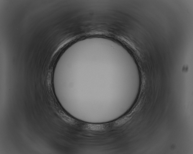 X0000095671258200801081031