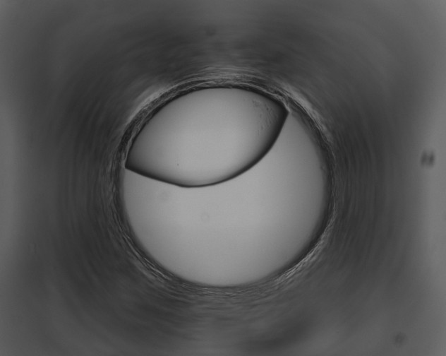 X0000095671259200801081031