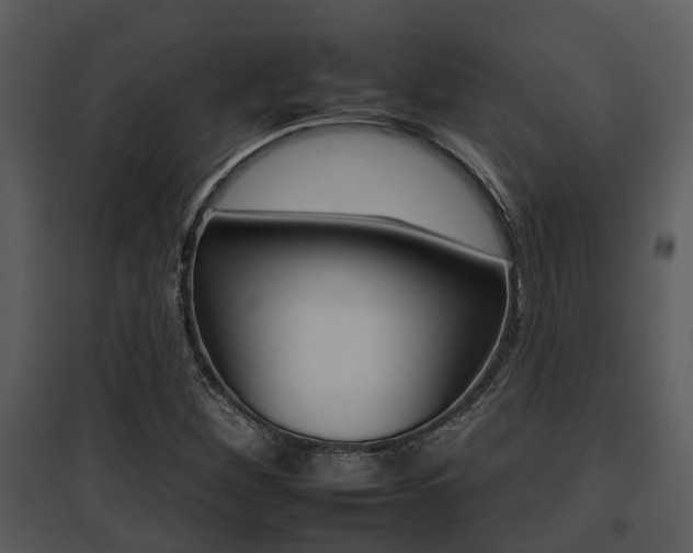 X0000095671260200801081031