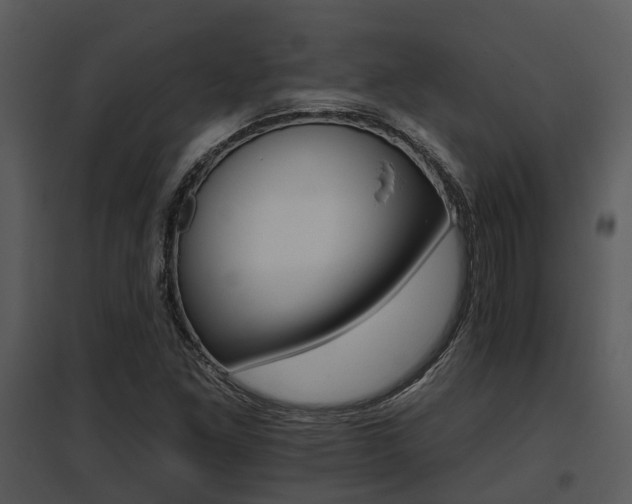 X0000095671261200801081031