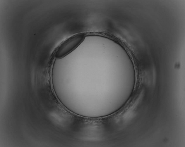 X0000095671262200801081031