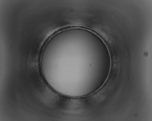 X0000095671264200801081031