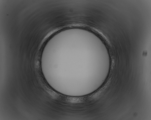 X0000095671266200801081031