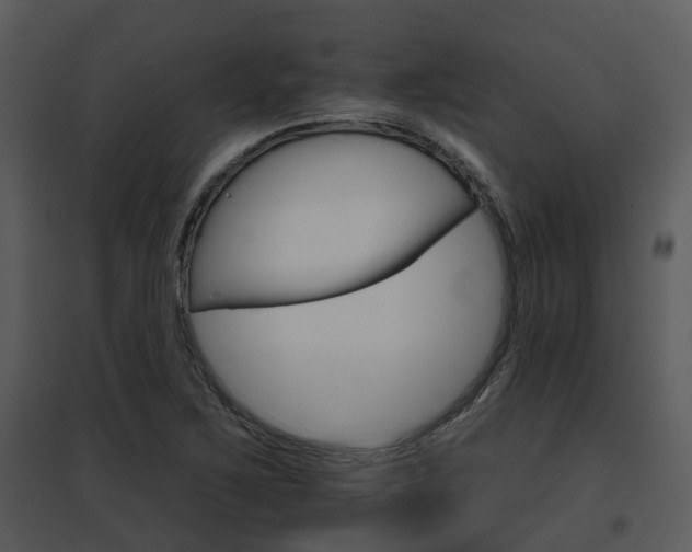 X0000095671267200801081031