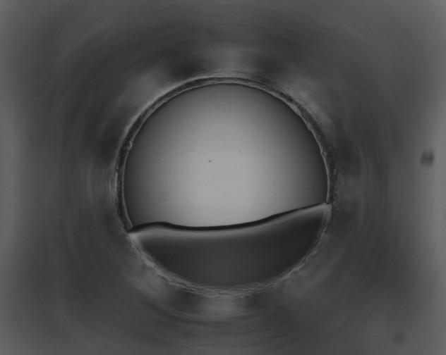 X0000095671268200801081031