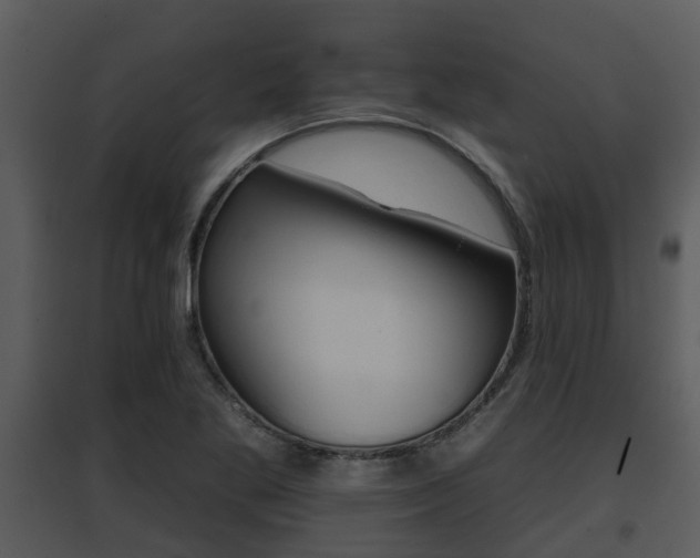 X0000095671269200801081031