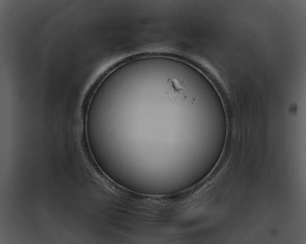 X0000095671270200801081031