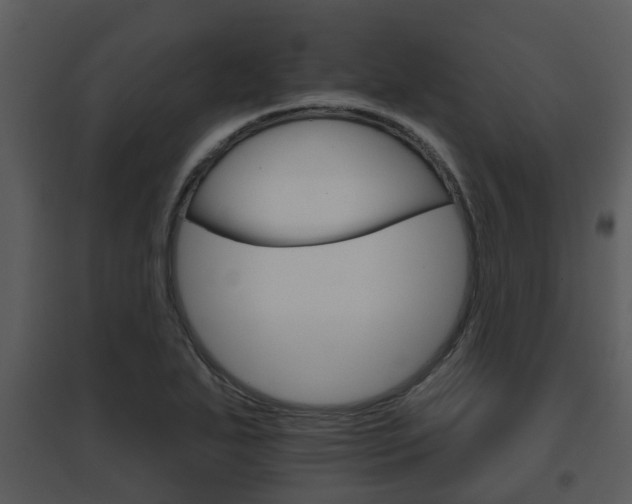 X0000095671271200801081031