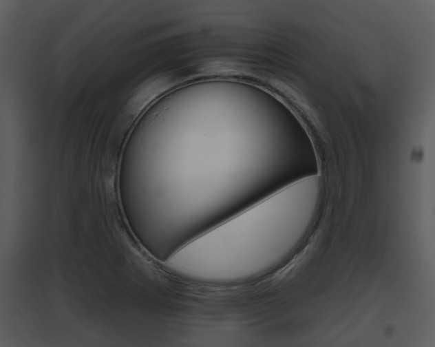 X0000095671273200801081031