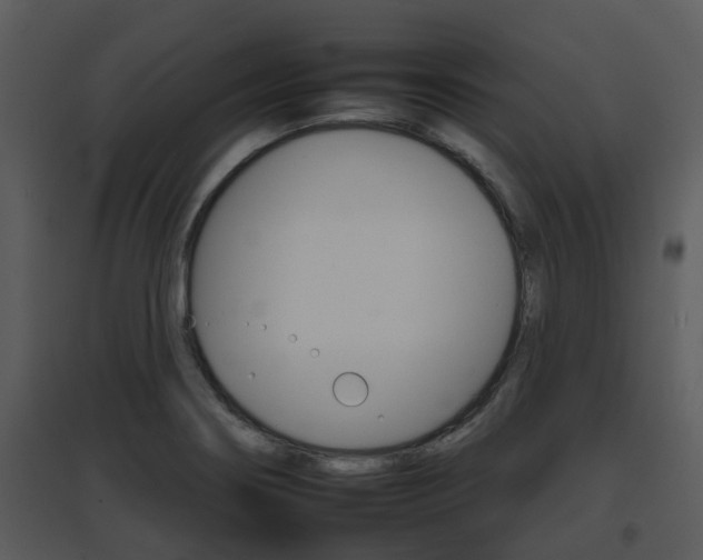 X0000095671274200801081031