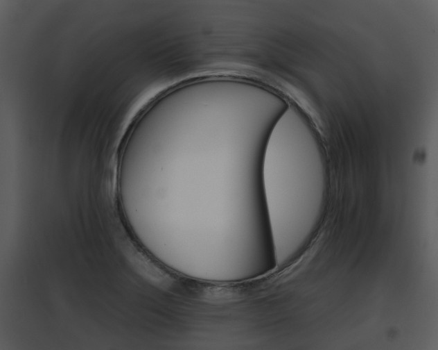 X0000095671275200801081031