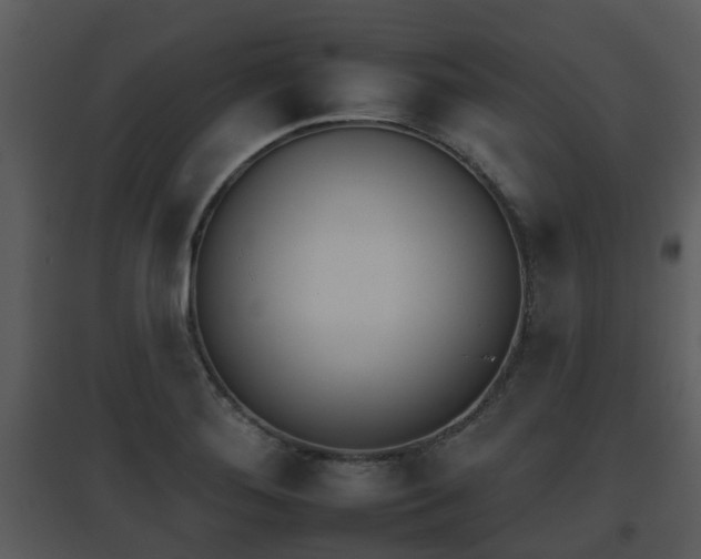 X0000095671276200801081031