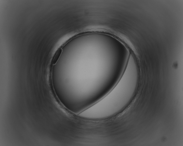 X0000095671277200801081031