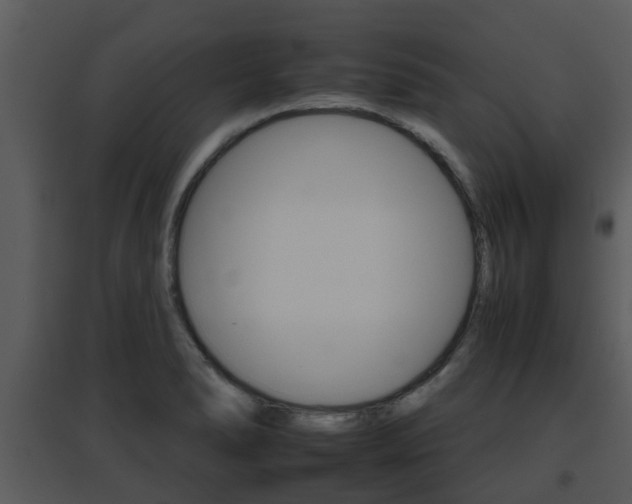 X0000095671278200801081031