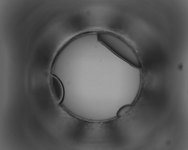X0000095671279200801081031