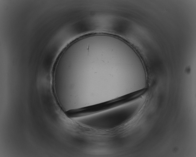 X0000095671280200801081031