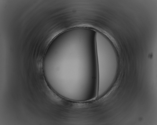 X0000095671281200801081031