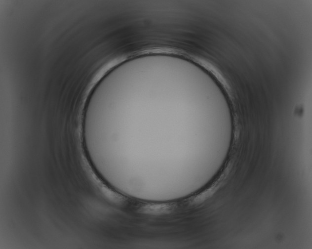 X0000095671282200801081031