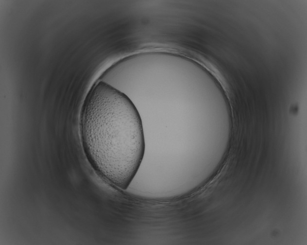 X0000095671283200801081031