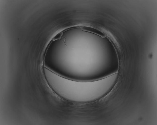 X0000095671284200801081031