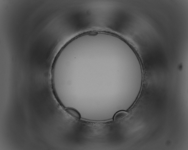X0000095671287200801081030