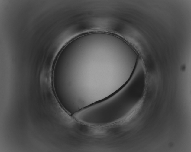 X0000095671288200801081030