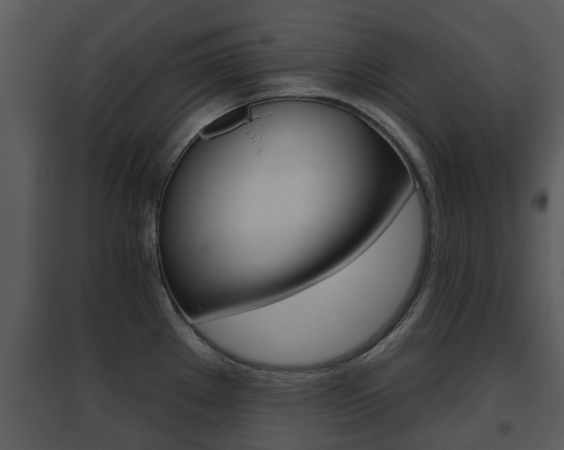 X0000095671289200801081030