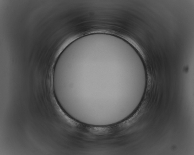 X0000095671290200801081030