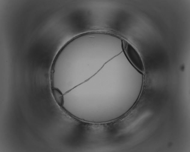 X0000095671291200801081030