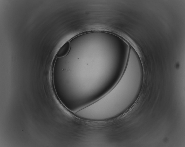 X0000095671293200801081030
