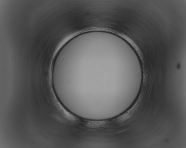 X0000095671294200801081030