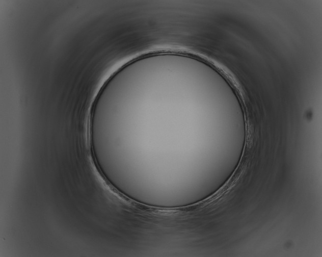 X0000095671295200801081030