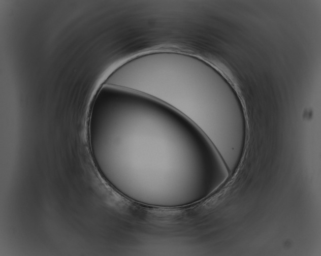 X0000095671296200801081030