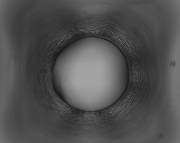X0000095671297200801081029