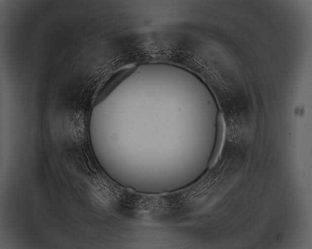 X0000095671298200801081029