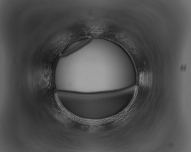 X0000095671299200801081029