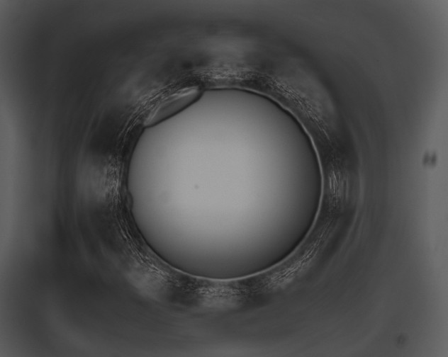 X0000095671300200801081029