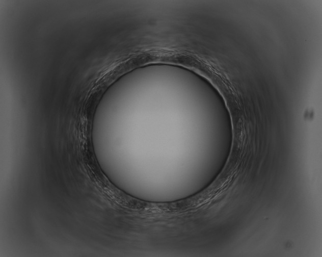X0000095671301200801081029