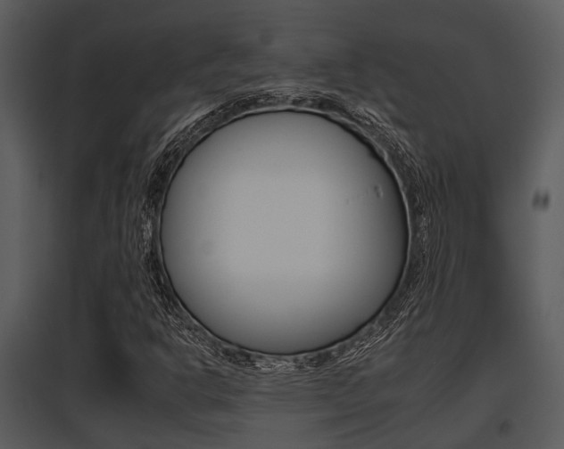 X0000095671302200801081029